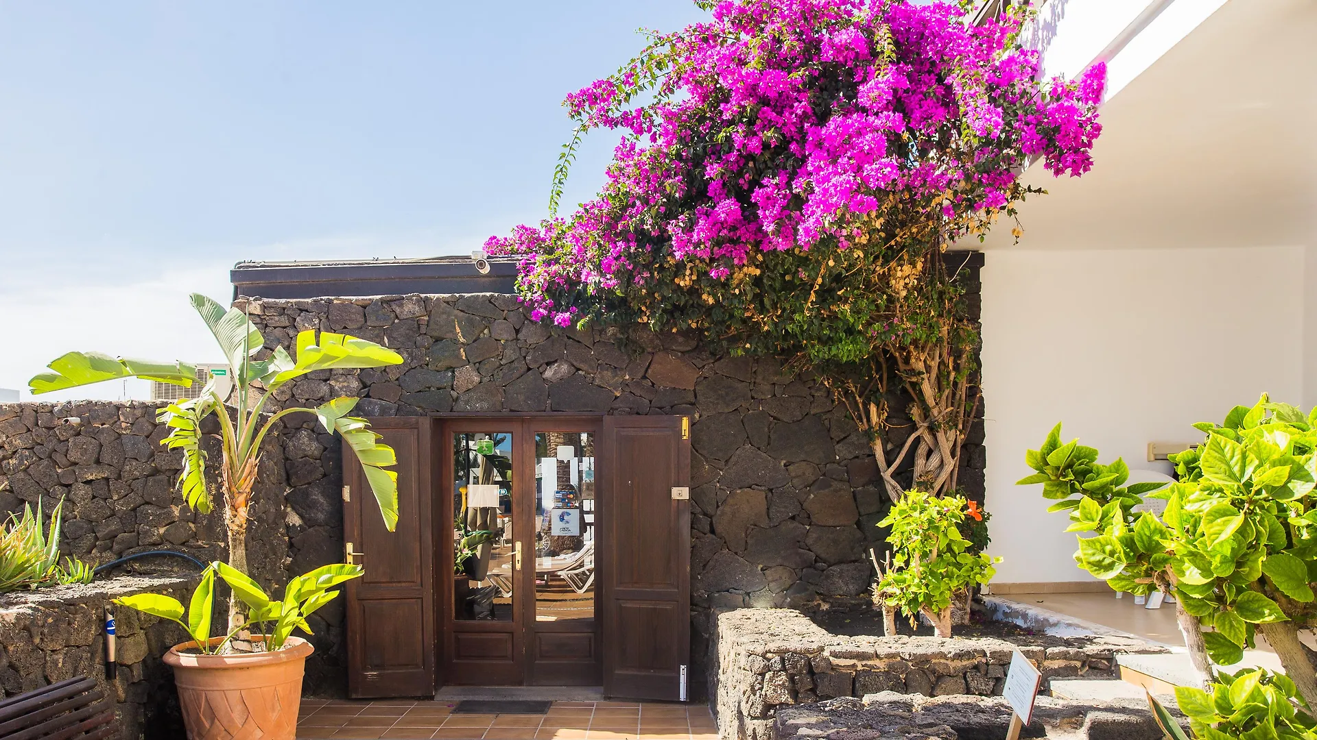 Los Tulipanes Aparthotel Puerto del Carmen   Puerto del Carmen (Lanzarote)